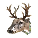 King Deer